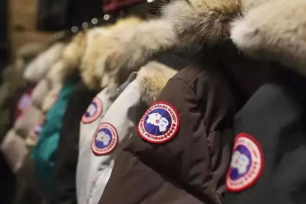 加拿大鹅的充绒量是多少 加拿大鹅适合的温度多少 加拿大鹅的充绒量是多少 加拿大鹅适合的温度多少