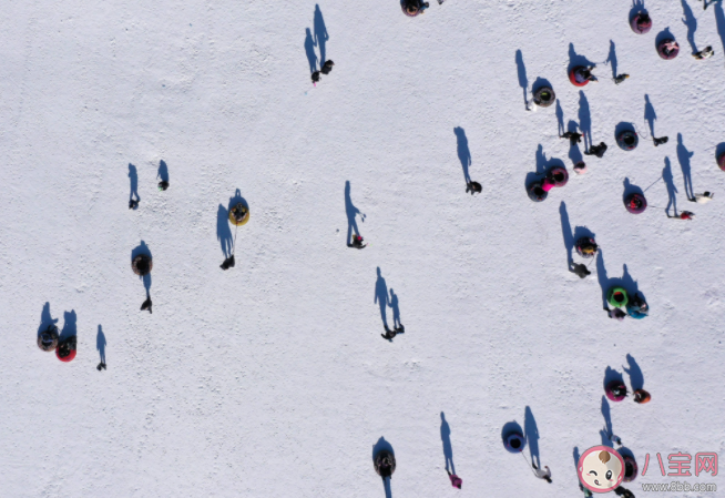 什么样的意外险产品涵盖冰雪运动 如何选择合适的保险产品 什么样的意外险产品涵盖冰雪运动 如何选择合适的保险产品