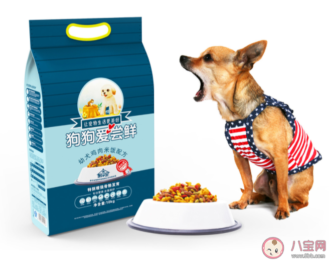 建立宠物食品安全标准有必要吗 如何挑选健康安全的宠物食品 建立宠物食品安全标准有必要吗 如何挑选健康安全的宠物食品