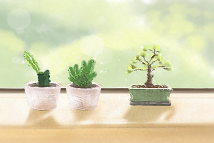 经典港式甜品 芒果班戟 经典港式甜品 芒果班戟