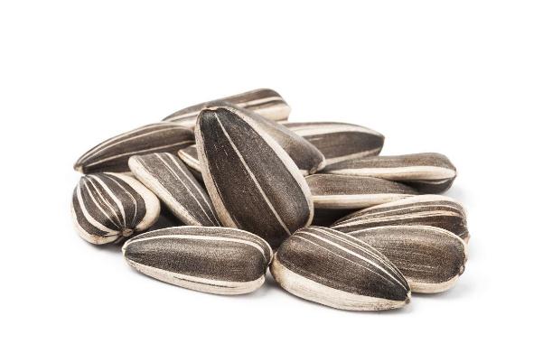 葵瓜子的营养价值及功效与作用 葵瓜子好处和坏处 葵瓜子的营养价值及功效与作用 葵瓜子好处和坏处