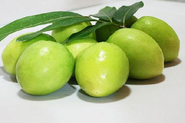 青枣怎么挑选好吃 青枣怎么保存时间长