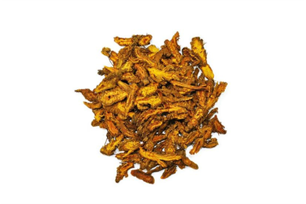 黄连可以降血糖吗 黄连的功效和作用