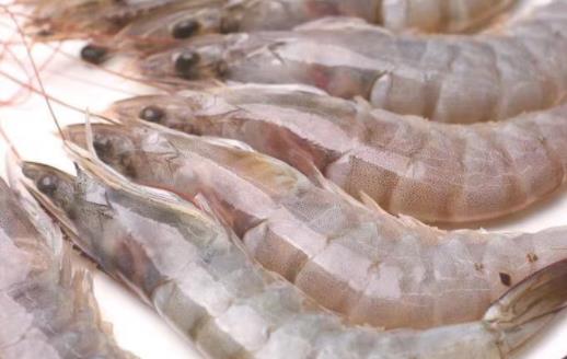 罗氏虾每天吃多少合适 罗氏虾吃不完怎么保存
