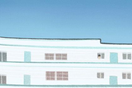 正山小种名字由来 特性 花色品种 正山小种名字由来 特性 花色品种