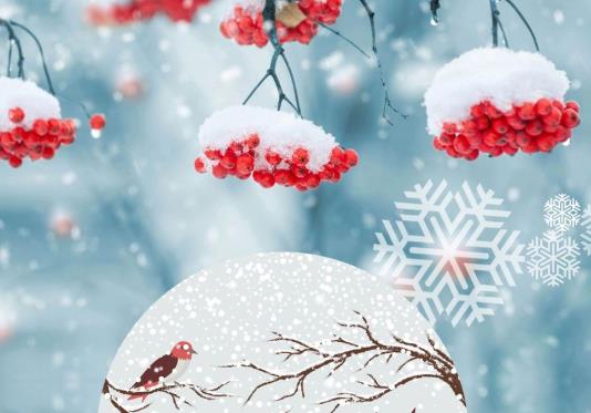 冬至永远是12月22日吗?冬至夜能不能出门?