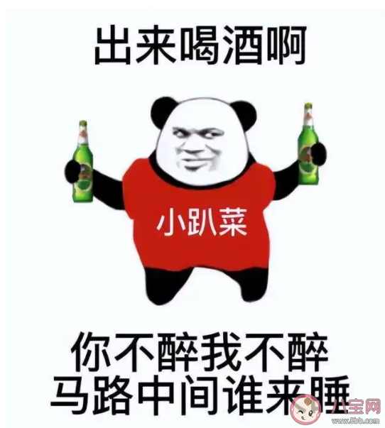 小趴菜是什么梗 小趴菜是什么意思