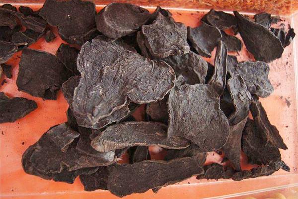 何首乌能治疗脱发吗 何首乌能治疗白发吗