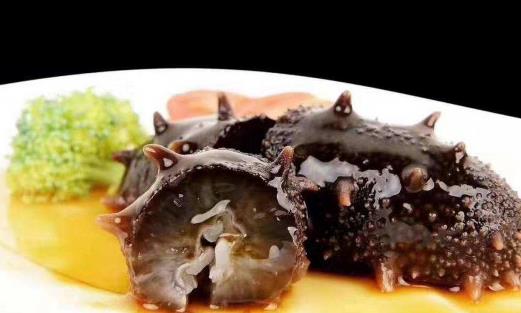 为什么海参泡出来是白色的 干海参发白是发霉了吗