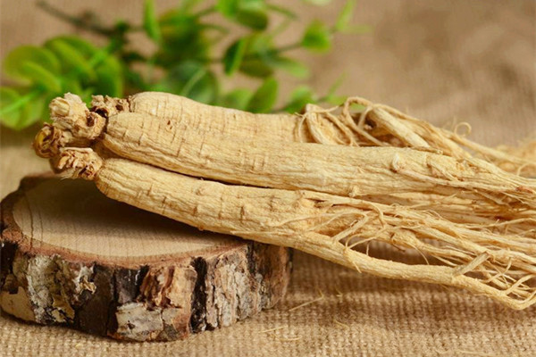 长白山人参能泡水喝吗 长白山人参泡水可以天天喝吗 长白山人参能泡水喝吗 长白山人参泡水可以天天喝吗