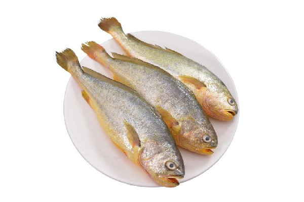 黄花鱼要去鱼鳞吗 黄花鱼处理方法 黄花鱼要去鱼鳞吗 黄花鱼处理方法