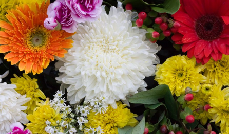 2022农历二月二适合上山拜祭吗2