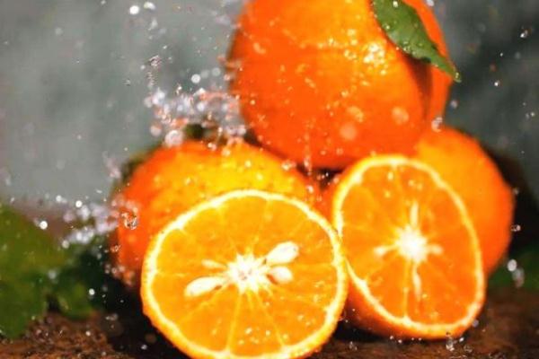 沃柑会上火吗 沃柑会胖吗 沃柑会上火吗 沃柑会胖吗