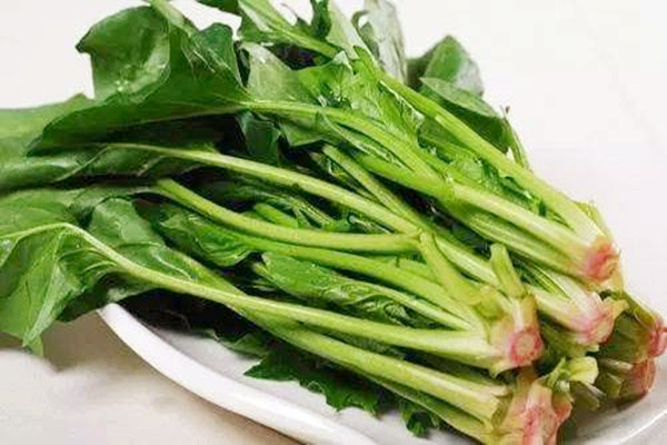 菠菜能不能天天吃 菠菜吃了对身体好吗 菠菜能不能天天吃 菠菜吃了对身体好吗