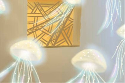 顶骨大鳝 顶骨大鳝