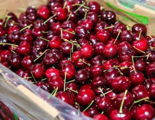 3月份的车厘子有营养吗?车厘子任何季节都有得吃吗