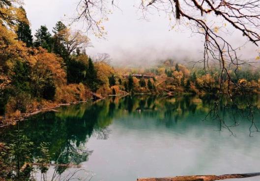 行程卡星号什么时候可以取消?带星号的行程卡可以去外地吗