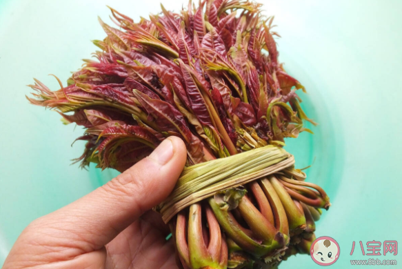 香椿价格为什么这么贵 香椿好不好吃 香椿价格为什么这么贵 香椿好不好吃