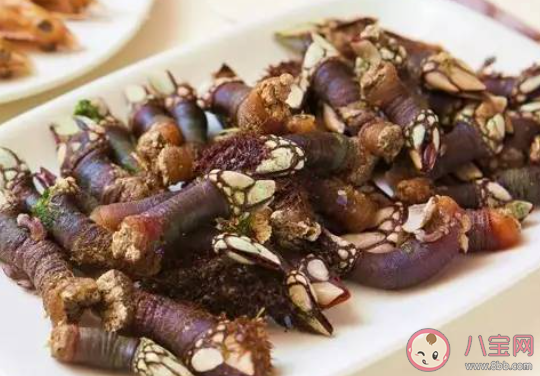 为何鹅颈藤壶这么贵 鹅颈藤壶做菜好吃吗 为何鹅颈藤壶这么贵 鹅颈藤壶做菜好吃吗