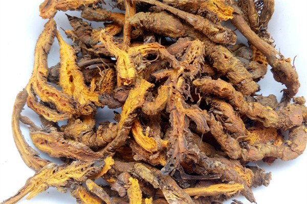 黄连是最苦的中药吗 黄连苦的程度 黄连是最苦的中药吗 黄连苦的程度