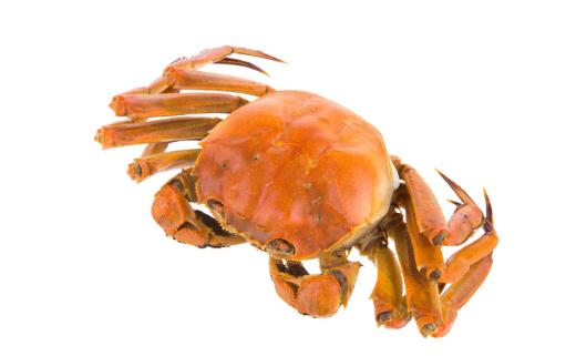 冷螃蟹可以吃吗 吃了6个螃蟹会怎么样