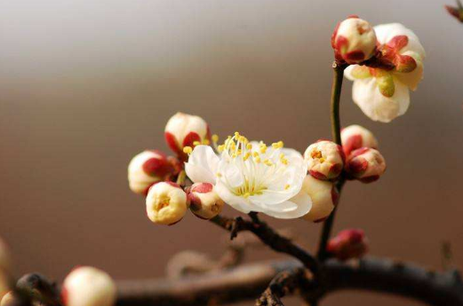 2022躲春朝哪个方向坐着1