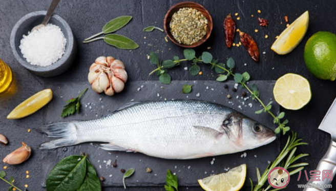 吃鱼胆对眼睛好吗 鱼胆破了怎么处理 吃鱼胆对眼睛好吗 鱼胆破了怎么处理