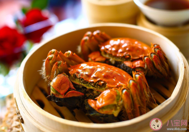 六月黄怎么吃比较好 如何挑选六月黄 六月黄怎么吃比较好 如何挑选六月黄