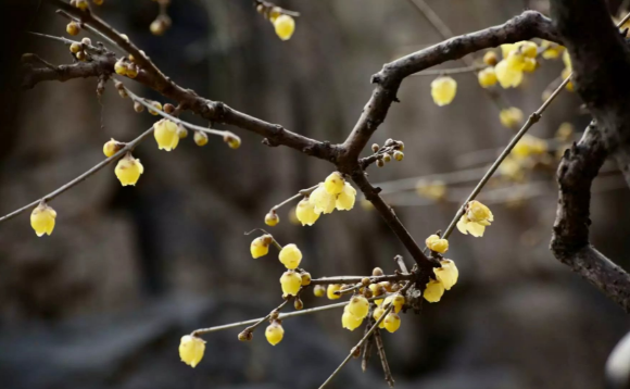 2022年是不是盲年3