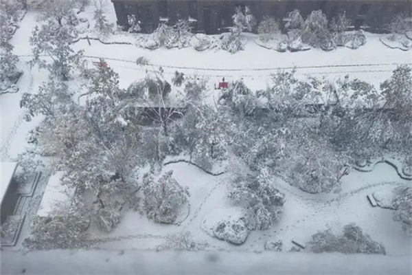 暴雪的标准是多少 暴雪对生活的影响 暴雪的标准是多少 暴雪对生活的影响
