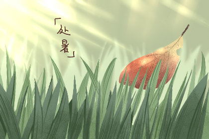 处暑吃什么蔬菜好 有哪些功效和作用 处暑吃什么蔬菜好 有哪些功效和作用