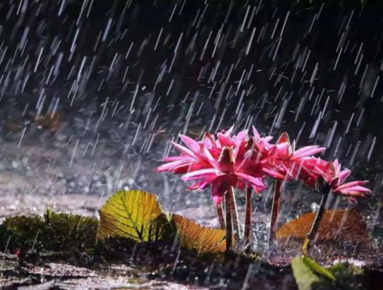 苏州的梅雨季节是几月份到几月份?苏州梅雨季节在什么时候