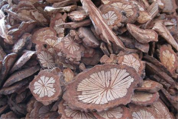 大血藤对孕妇有影响吗 大血藤的禁忌人群 大血藤对孕妇有影响吗 大血藤的禁忌人群