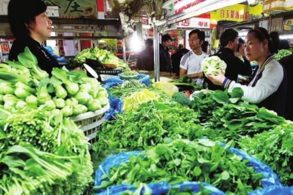 蔬菜是植物类吗 蔬菜是酸性还是碱性食物