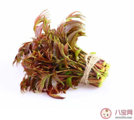 香椿价格为什么这么贵 香椿好不好吃 香椿价格为什么这么贵 香椿好不好吃