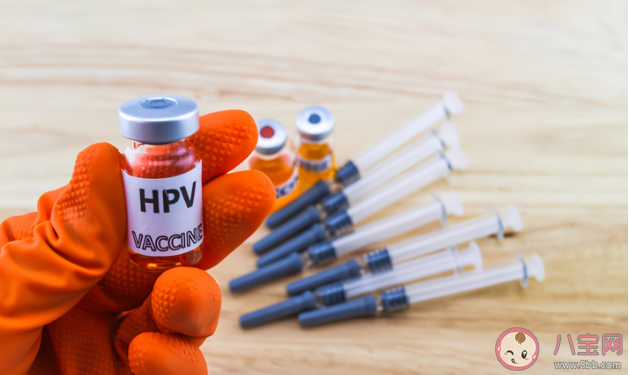 国产2价疫苗预防效果怎么样 进口2价VS国产2价选哪个好 国产2价疫苗预防效果怎么样 进口2价VS国产2价选哪个好