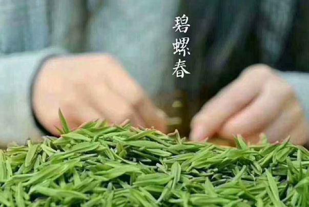 碧螺春要用多少度的水泡 碧螺春要泡几分钟 碧螺春要用多少度的水泡 碧螺春要泡几分钟