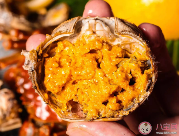 六月黄怎么吃比较好 如何挑选六月黄 六月黄怎么吃比较好 如何挑选六月黄