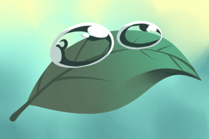 意大利阿尔巴白松露 意大利阿尔巴白松露