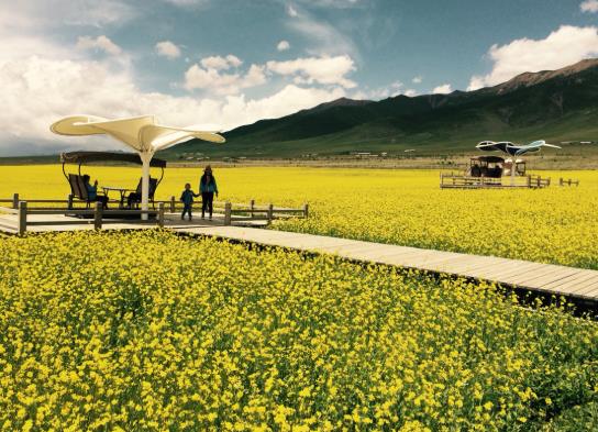 行程卡和健康码是全国通用的吗?行程卡不是本人的可以用吗