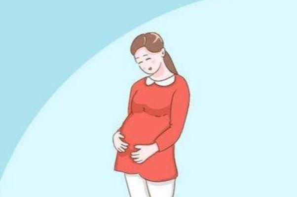 孕妇流产后可以吃什么水果 孕妇流产后可以吃羊肉吗 孕妇流产后可以吃什么水果 孕妇流产后可以吃羊肉吗