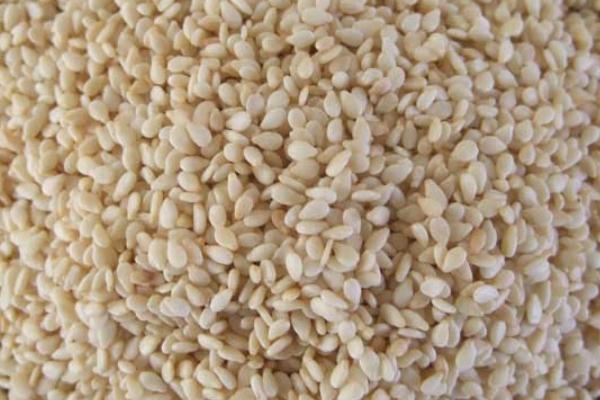 白芝麻会上火吗 白芝麻会发胖吗 白芝麻会上火吗 白芝麻会发胖吗