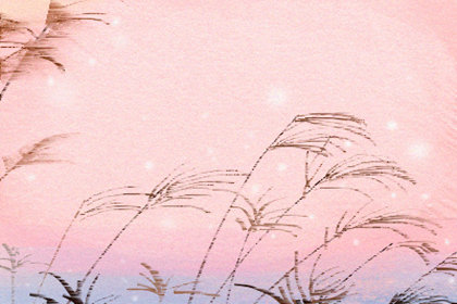 饮食文化 饮食文化