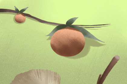 饮食文化 饮食文化