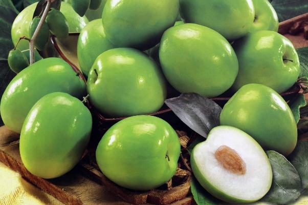 牛奶枣有点涩怎么处理 新鲜牛奶枣怎么保存 牛奶枣有点涩怎么处理 新鲜牛奶枣怎么保存