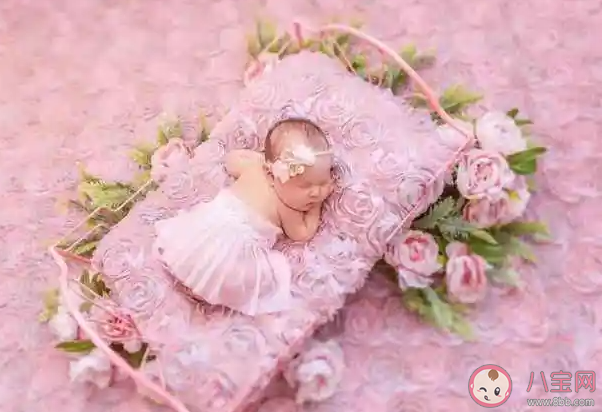 吃哪些食物有助宝宝大脑发育 怎样判断宝宝是否聪明 吃哪些食物有助宝宝大脑发育 怎样判断宝宝是否聪明