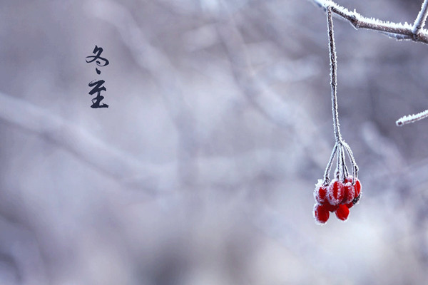 冬至是否要吃饺子 冬至吃饺子的由来 冬至是否要吃饺子 冬至吃饺子的由来