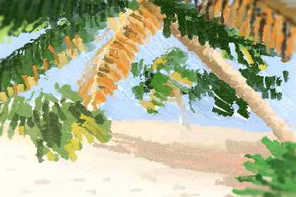 秋葵和什么一起吃最好 有什么好处 秋葵和什么一起吃最好 有什么好处