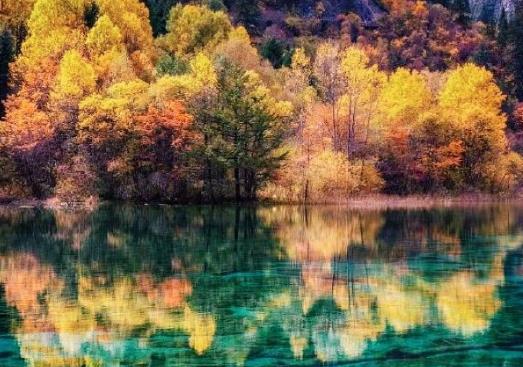 不开机行程卡会有记录吗?行程卡能添加别人吗