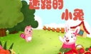 迷路的小兔800字